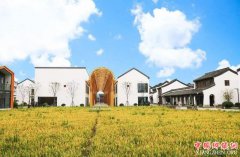 <b>农村集体产权制度改革试点扩大：扩面、提速、集成</b>