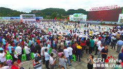 <b>巴中平昌：花椒产业助农增收 采摘当日销售额1.9亿</b>