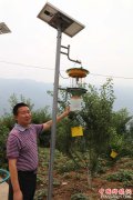 <b>重庆巫山打造“中华名果”绿色脆李的典型</b>