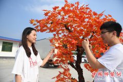 <b>江苏沭阳：仿真花铺就富民路</b>