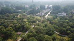 <b>江苏：打造生态古栗林 建设特色山荡村</b>