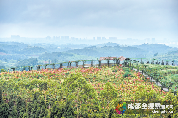 金堂国家登山健身步道位于成都平原东北角龙泉山脉深丘地区，步道各项基础设施建设已粗具规模