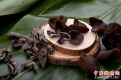 <b>新疆博乐：黑木耳成为村民致富“金钥匙”</b>