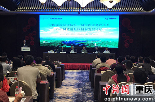 图为中国旅游景区创新发展论坛现场。肖江川 摄