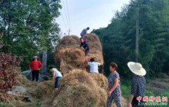 <b>全国秸秆综合利用率达82%</b>