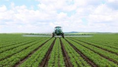 <b>大豆夏管促高产</b>