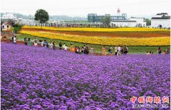 <b>农村的四大赚钱行业和两大亏钱行业 你属于其中的哪一个？</b>