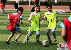 <b>教育部：足球高水平苗子开始出现了 不能急功近利</b>