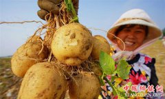 <b>“一村一品”助推农业产业化发展</b>