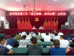 河南：孟庙镇开展2018年第二季度 “逐村观摩 逐项过硬”活动