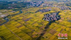 <b>农业农村部：今年以来多数农产品价格呈持续下跌走势</b>