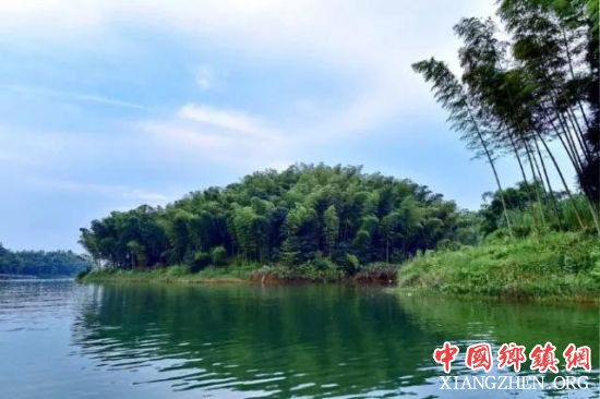 图为蜀南竹海风景 蜀南竹海景区供图