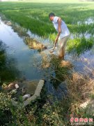 <b>安徽怀远县兰桥乡农民高温天气不忘忙田管</b>