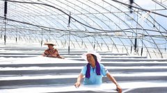 <b>农旅融合助增收</b>