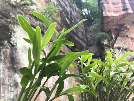 赤水：守好两个底线 全国首批脱贫