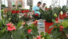 <b>绿色产业惠民富农</b>