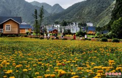 <b>陕西洛南：鲜花木屋惹人醉</b>