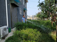 <b>杏林镇：浇灌养护苗木，巩固绿化成果</b>