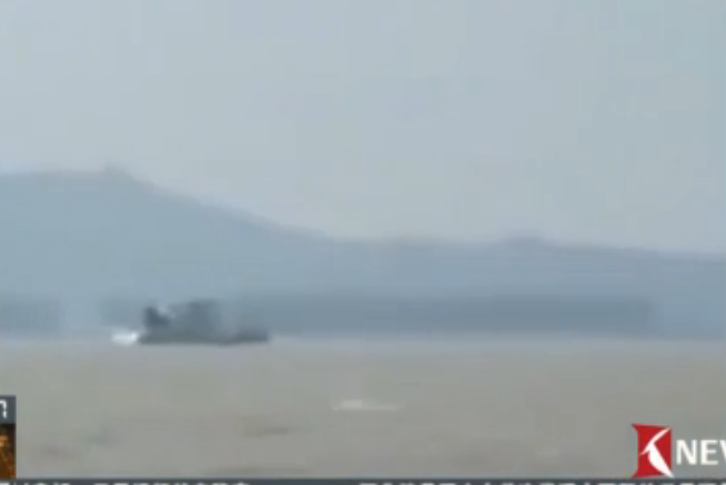 长江扬州段现“江豚拜风”奇景