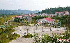 <b>巴中市恩阳区退出贫困县序列 脱贫后不停步 推进乡村振兴</b>