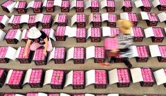 <b>立秋开启多彩收获季</b>