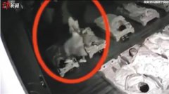 <b>合肥一幼教机构被指虐童 孩子午休时被老师踩头(图)</b>
