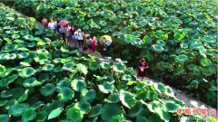 <b>资阳十条政策支持乡村旅游最高奖补200万元</b>