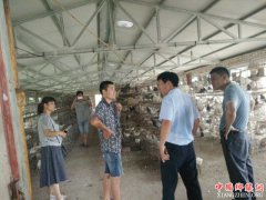 <b>安徽：古城镇强化环保问题整治督查</b>