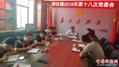 <b>陕西渭南市华州区柳枝镇召开第十八次党委会</b>
