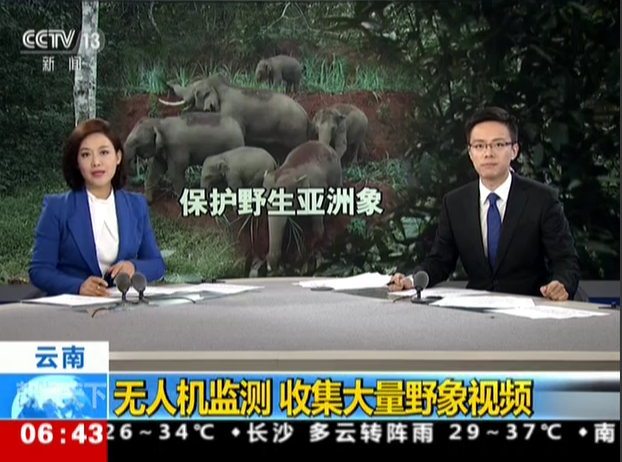 <b>云南：无人机监测  收集大量野象视频</b>