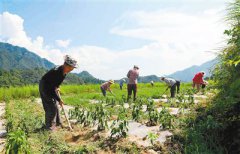 <b>不向贫困低头 山里汉子身残志坚</b>