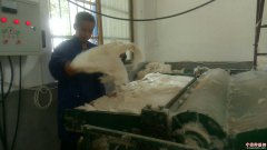 <b>渭南市华州区柳枝镇：孟村这个小伙真能干！</b>