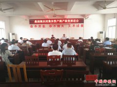 <b>安徽定远：桑涧镇召开农村集体资产清产核资工作推进会</b>