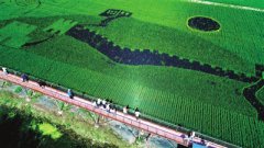 <b>辽阳：功能稻米小镇引来八方客</b>