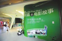 <b>来 一起玩转大熊猫国际文化周</b>