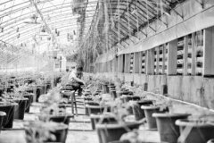 <b>宁夏：光伏育苗构筑绿色新家园</b>