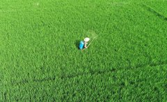 <b>初秋田管忙</b>