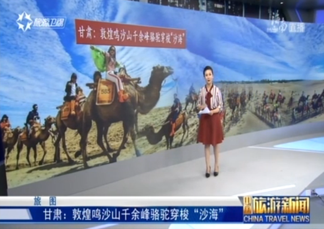 甘肃：敦煌鸣沙山千余峰骆驼穿梭“沙海”