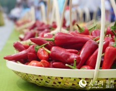 <b>贵州：小辣椒成就大产业 辣博会传递好声音</b>