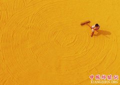 <b>处暑时节农事忙</b>