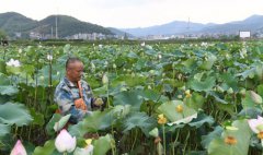 <b>使传统农业产业焕发新生机</b>