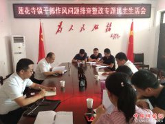 <b>陕西莲花寺镇：召开干部作风排查整改专题民主生活会</b>