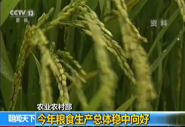 农业农村部：今年粮食生产总体稳中向好