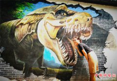 <b>山东郯城：新农村3D立体画成新宠</b>