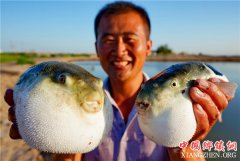 <b>特色养殖富农家</b>