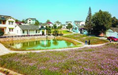 <b>“最美村镇”公众票选，南京谷里全国第一</b>