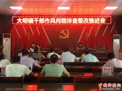 陕西大明镇：高标准 硬措施 严问责 推动干部作风排查整改取得实效