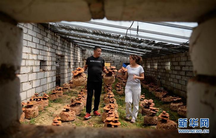 (图片故事)(1)创业者罗婵:回到大山 与乡邻共同脱贫致富