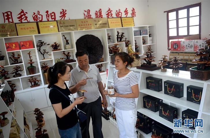 (图片故事)(9)创业者罗婵:回到大山 与乡邻共同脱贫致富