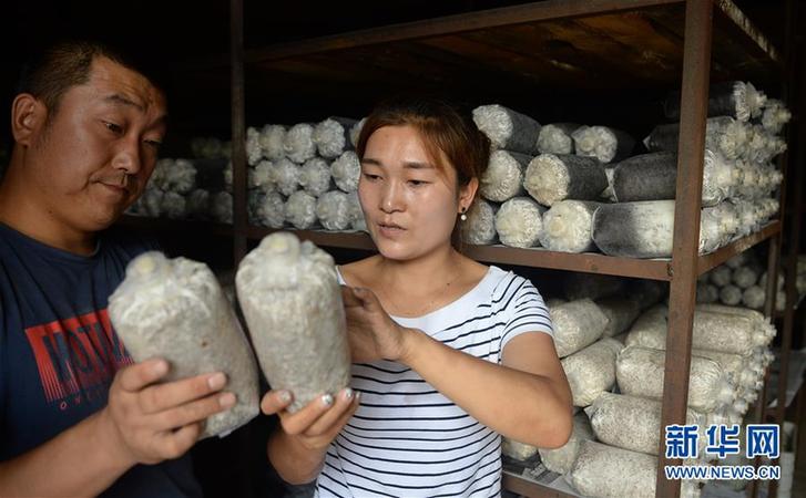 (图片故事)(8)创业者罗婵:回到大山 与乡邻共同脱贫致富